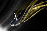 Air jordan 16.5 team Air jordan 16.5 team